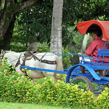 Eco Pousada Paraiso Dos Coqueirais Japaratinga Eksteriør bilde