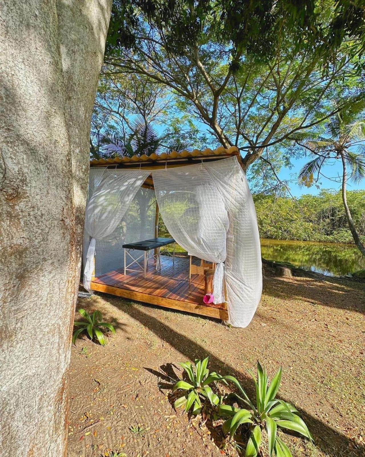 Eco Pousada Paraiso Dos Coqueirais Japaratinga Eksteriør bilde