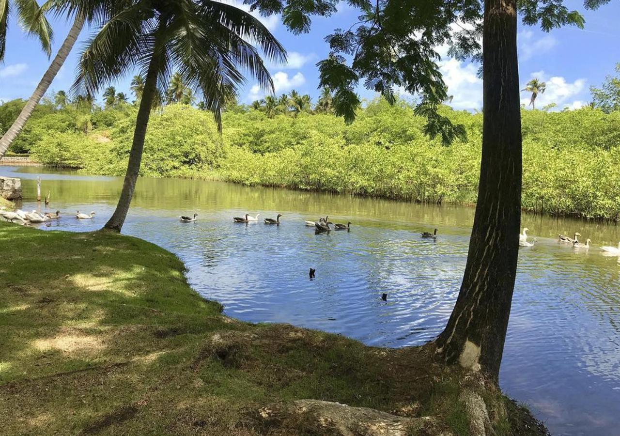 Eco Pousada Paraiso Dos Coqueirais Japaratinga Eksteriør bilde