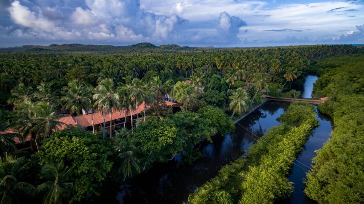 Eco Pousada Paraiso Dos Coqueirais Japaratinga Eksteriør bilde