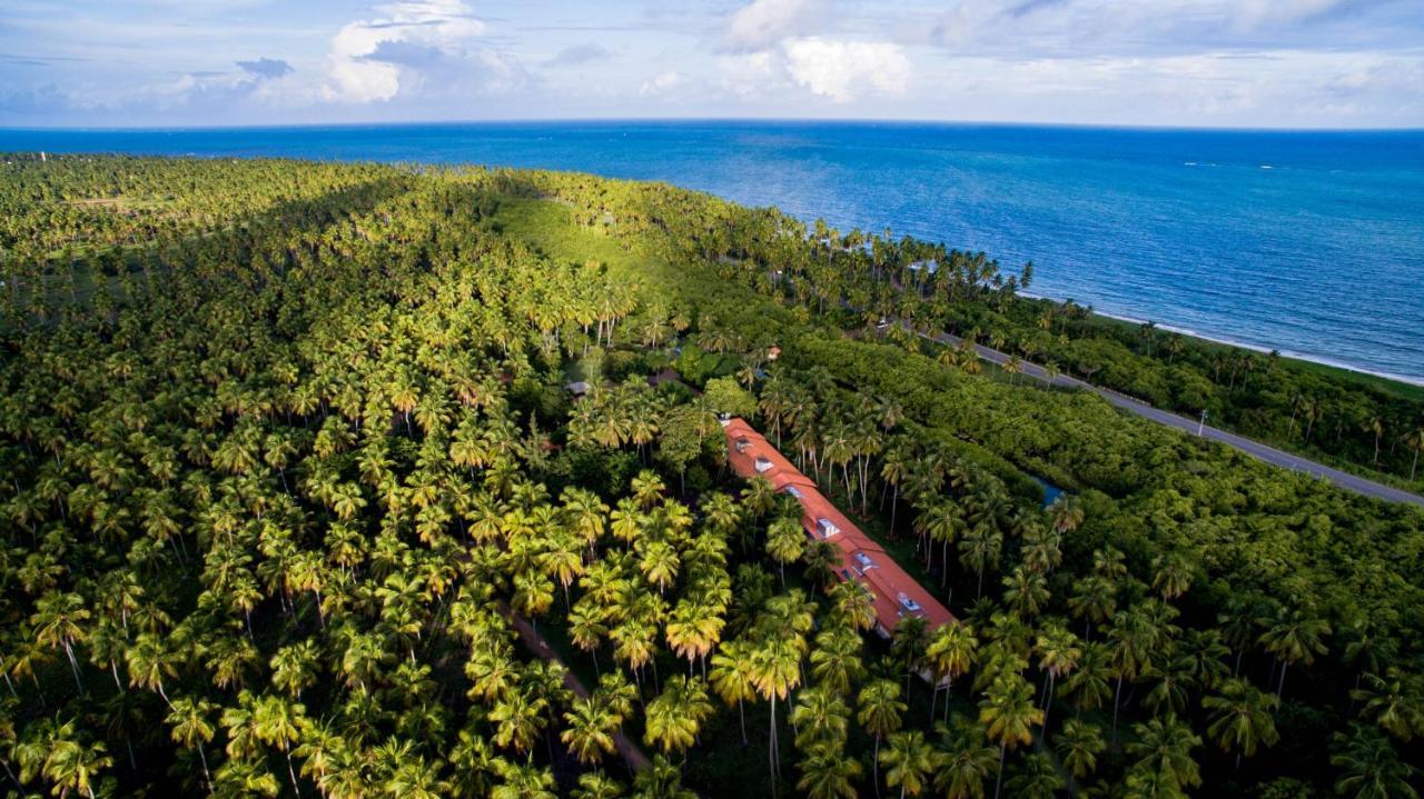 Eco Pousada Paraiso Dos Coqueirais Japaratinga Eksteriør bilde