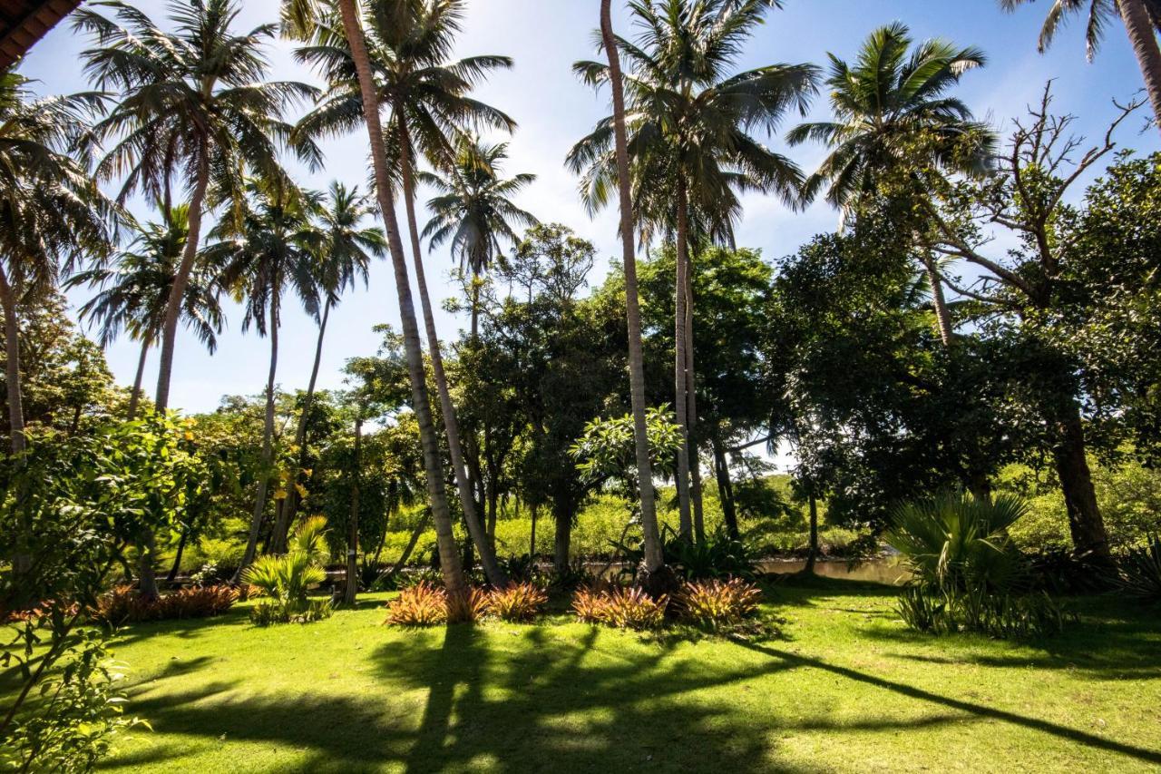 Eco Pousada Paraiso Dos Coqueirais Japaratinga Eksteriør bilde