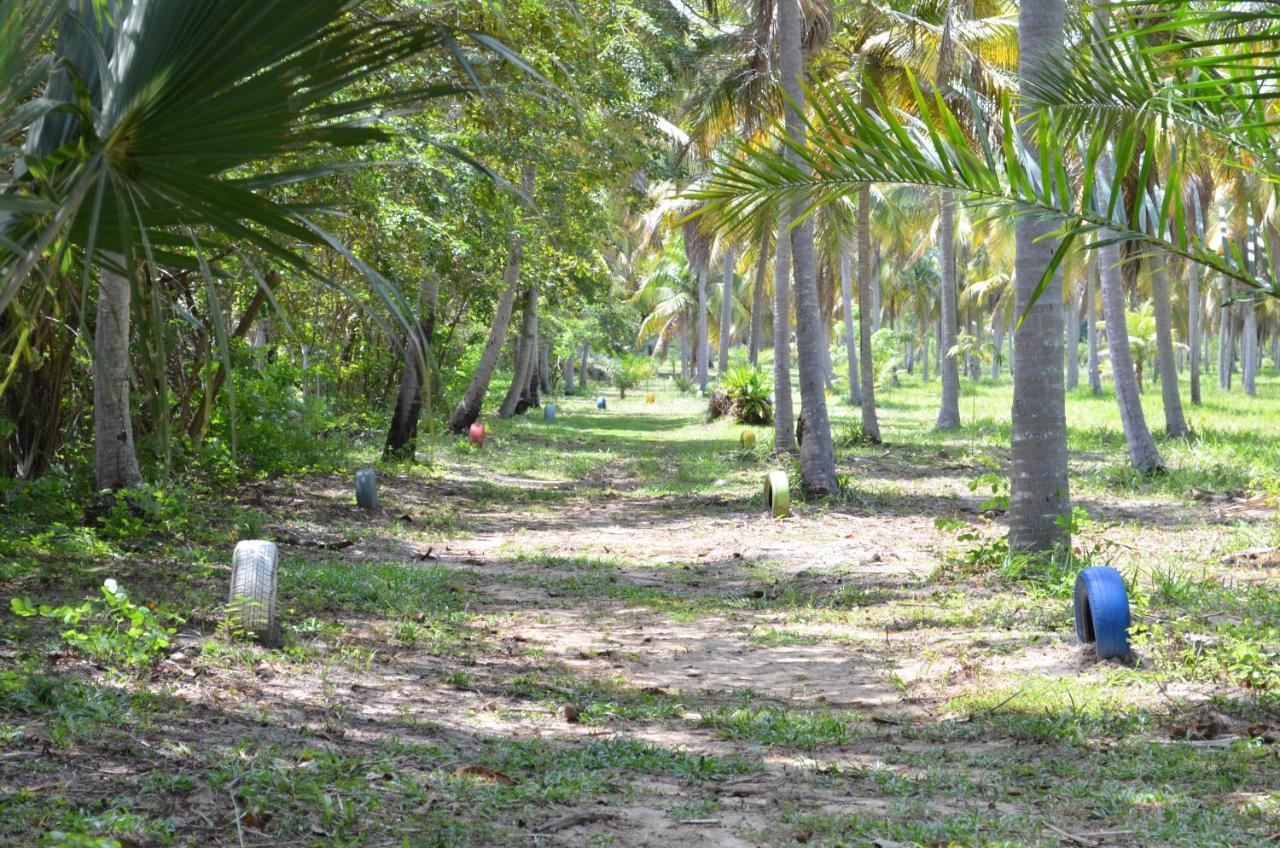 Eco Pousada Paraiso Dos Coqueirais Japaratinga Eksteriør bilde